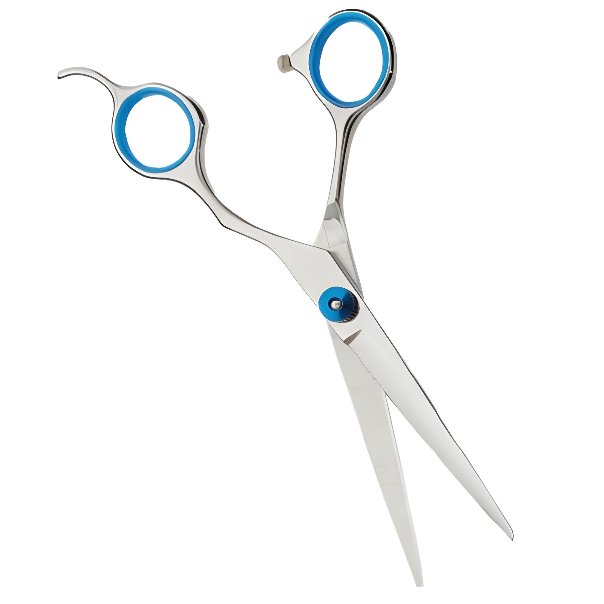 Blue and stainless steel beard trimming scissors